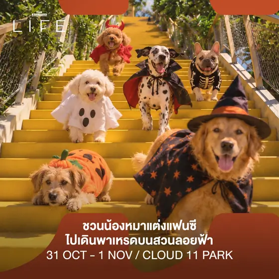 Poster for Pawloween